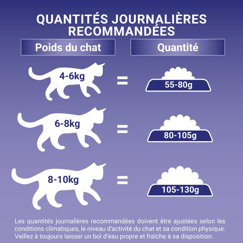 Purina One - Croquettes au Saumon et Blé pour Chat Adulte Stérilisé - 1,5Kg Image numéro 5 Purina One - Croquettes au Saumon et Blé pour Chat Adulte Stérilisé - 1,5Kg Image numéro 5