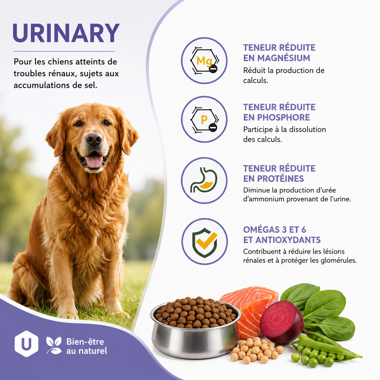 Nutrivia Vet - Croquettes Urinary pour Chiens - 3Kg Image num&eacute;ro 3