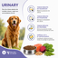 Nutrivia Vet - Croquettes Urinary pour Chiens - 3Kg Indicateur image num&eacute;ro 3