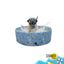 Summer Vibes - Piscine Motifs Dolce Vita pour Chiens - L Indicateur image num&eacute;ro 1
