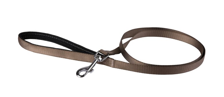 Animalis - Laisse Basic Confort Taupe pour Chien - 15mm et 120cm Image numéro 2 Animalis - Laisse Basic Confort Taupe pour Chien - 15mm et 120cm Image numéro 2