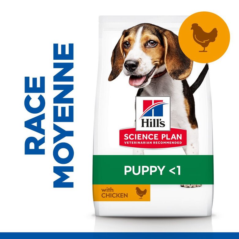 Hill's Science Plan - Puppy Croquettes Pour Chiot Au Poulet  - 12kg Image numéro 4 Hill's Science Plan - Puppy Croquettes Pour Chiot Au Poulet  - 12kg Image numéro 4