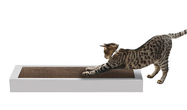 Animalis - Griffoir en Carton Graffio pour Chat - 50cm