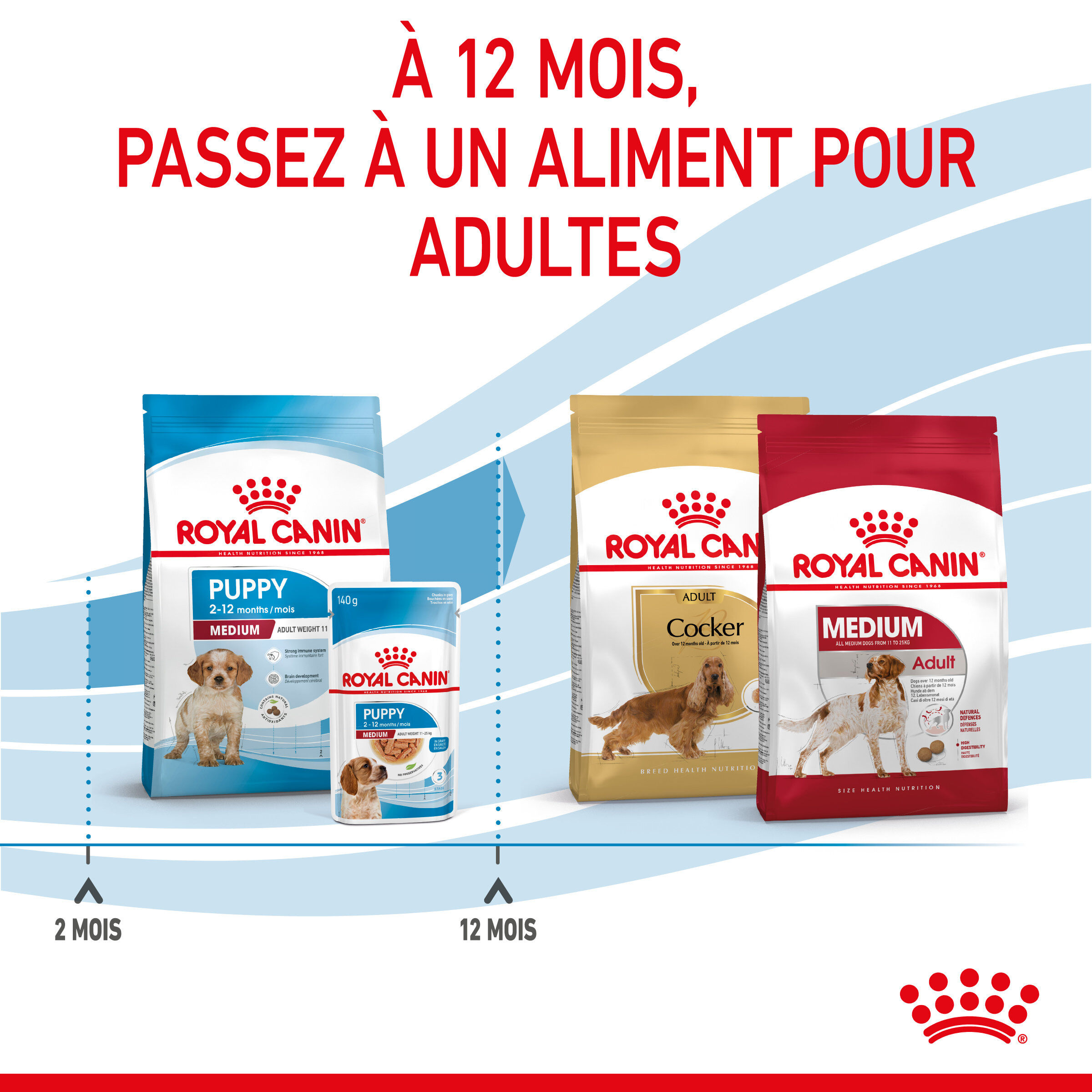 Royal Canin - Croquettes Medium Puppy pour Chiot - 15Kg Image num&eacute;ro 6