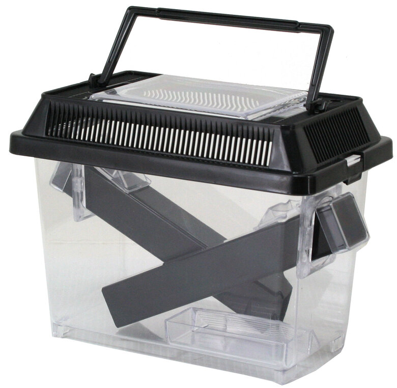Exo Terra - Boîte pour Criquets - S Image numéro 1 Exo Terra - Boîte pour Criquets - S Image numéro 1