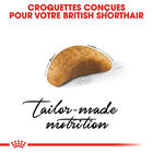 Royal Canin - Croquettes British Shorthair Kitten pour Chatons - 2Kg image number null