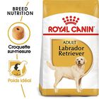 Royal Canin - Croquettes Labrador pour Chien Adulte - 12Kg image number null