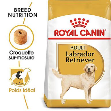 Royal Canin - Croquettes Labrador pour Chien Adulte