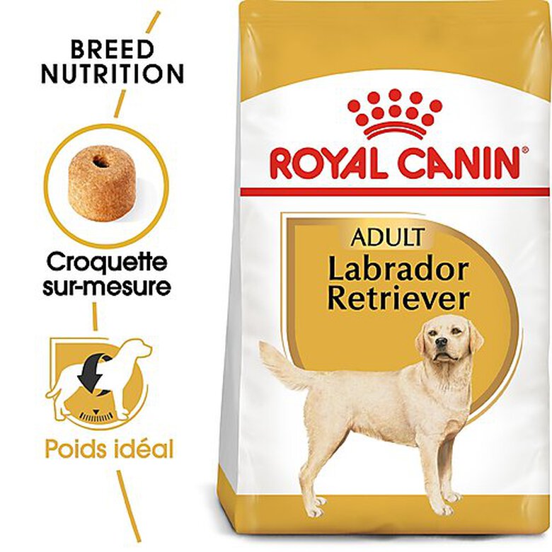 Royal Canin - Croquettes Labrador pour Chien Adulte - 12Kg image number null