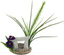 Labeo - Décor dolmen avec Plante Artificielle - Aquarium Indicateur image numéro 2