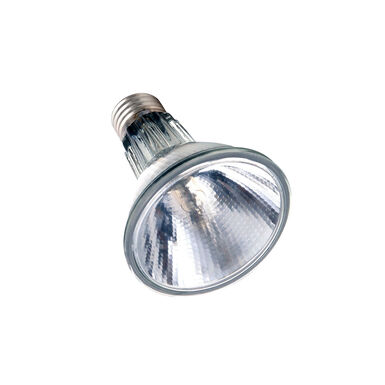 Arcadia - Spots Halogen Basking (E27) 50 Watt - Réptiles
