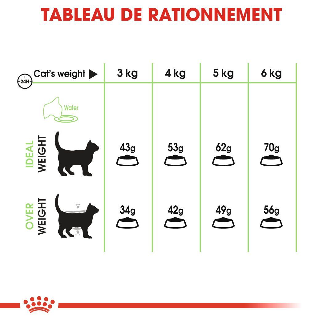 Royal Canin - Croquettes Digestive Care pour Chat - 4Kg Image num&eacute;ro 5
