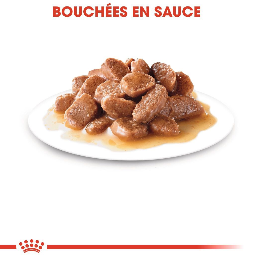 Royal Canin - Sachets Instinctive en Sauce pour Chat - 12x85g Image num&eacute;ro 4