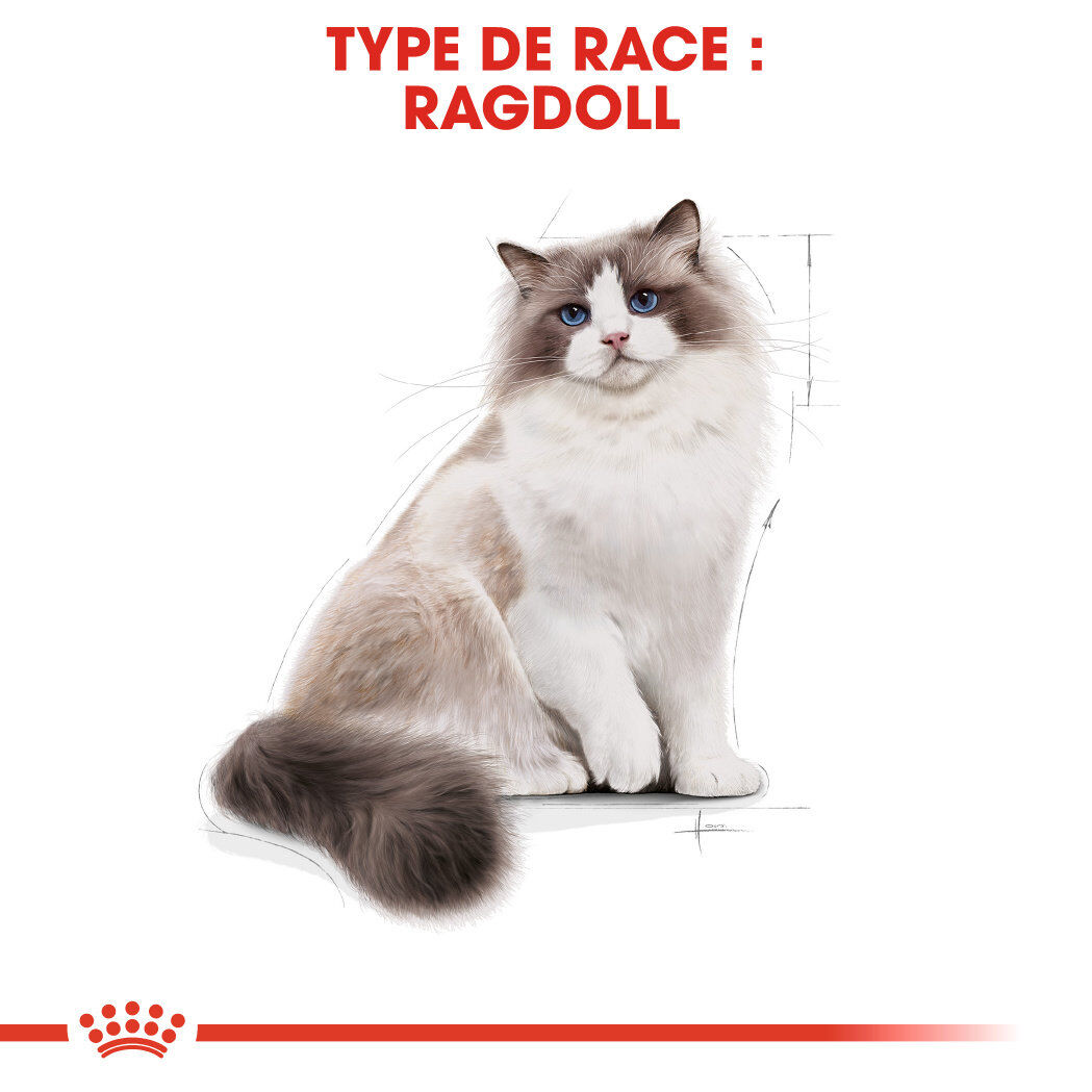 Royal Canin - Croquettes Ragdoll Adult pour Chat - 2Kg Image num&eacute;ro 2