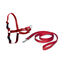 Petsafe - Harnais Easy Walk Rouge pour Chiens - S Indicateur image numéro 2