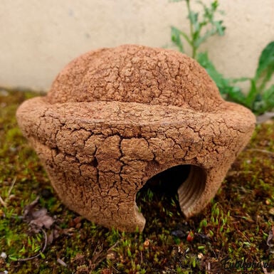Eublepharis - Cachette Bilbo pour Reptiles - 20cm