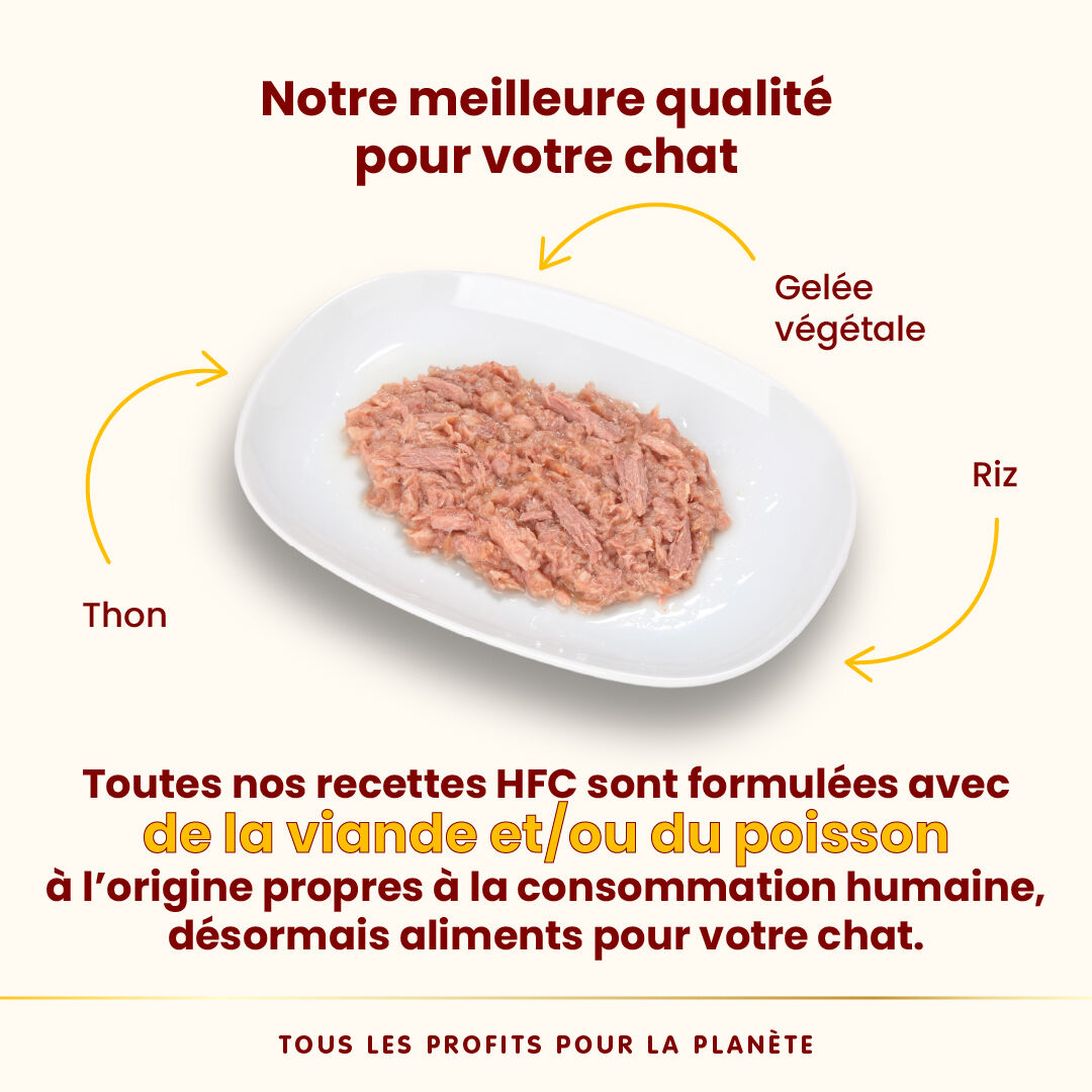 Almo Nature - P&acirc;t&eacute;e Hfc Jelly Thon - 55g Image num&eacute;ro 2