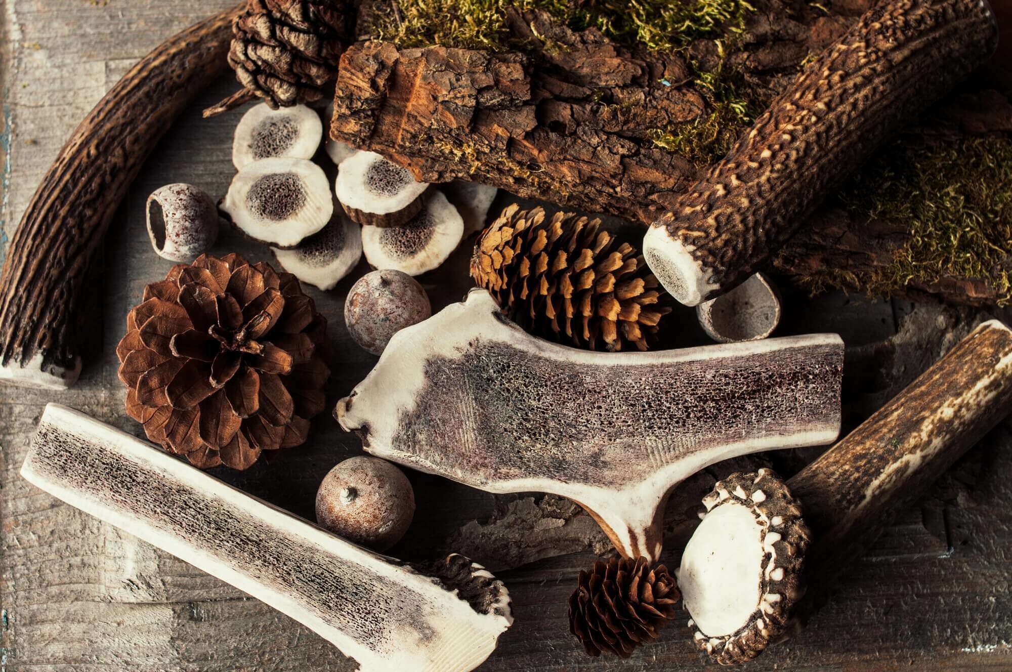 Animalis - Friandise Bois de Cerf Fendu pour Chien - M Image num&eacute;ro 2