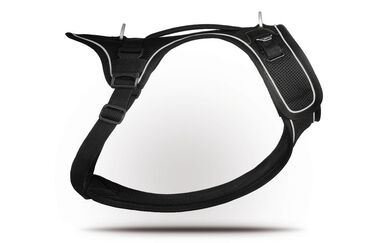 Curli - Harnais Belka Air-Mesh en Noir pour Chiens