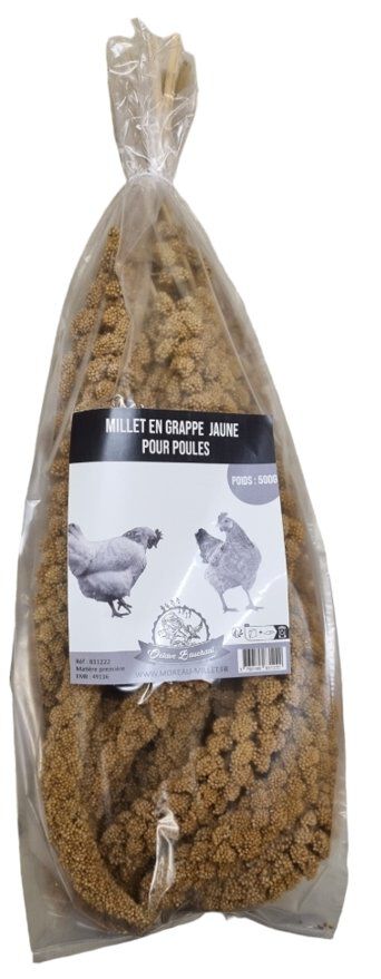 Octave Bauchant - Millet Jaune en Grappes pour Poules - 500g Image num&eacute;ro 1