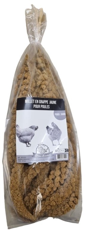 Octave Bauchant - Millet Jaune en Grappes pour Poules - 500g Image numéro 1 Octave Bauchant - Millet Jaune en Grappes pour Poules - 500g Image numéro 1