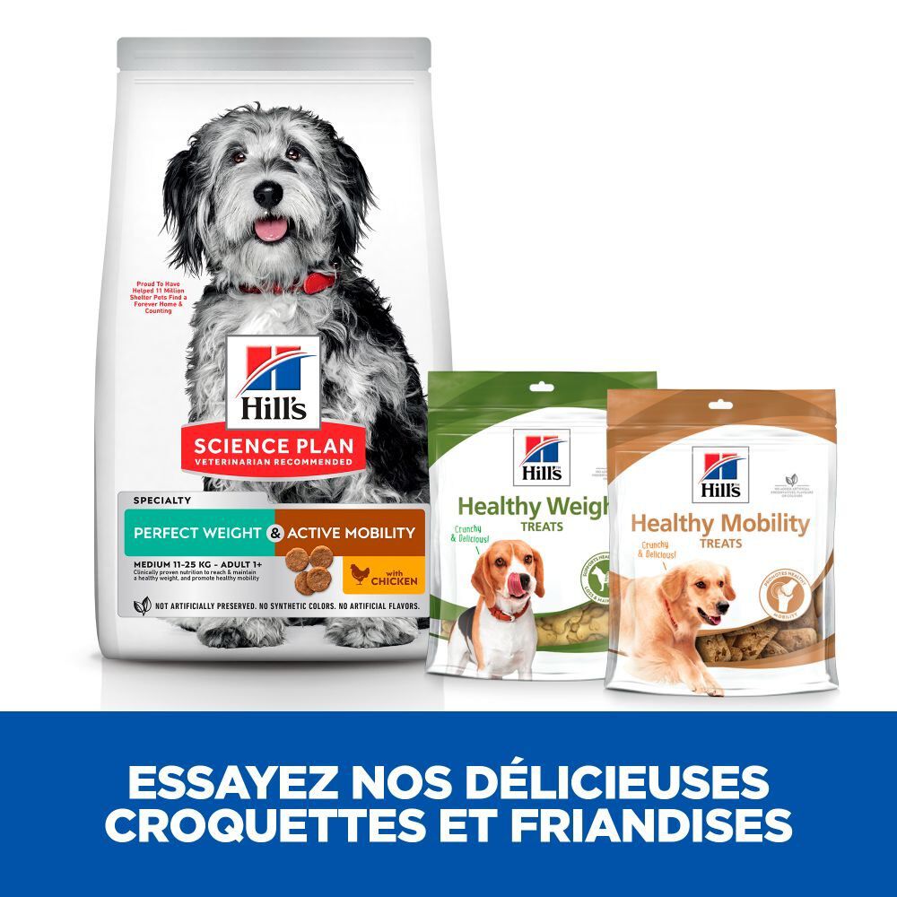 Hill's Science Plan - Perfect Weight & Active Mobility Croquettes Chien Adulte Medium Poulet - 2,5kg Image num&eacute;ro 4