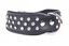 Yogipet - Collier Crystal Déco pour Chien Noir - T65 51/60cm Indicateur image numéro 1