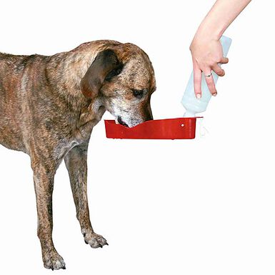 Trixie - Gourde avec Ecuelle pour Chien - 500 ml