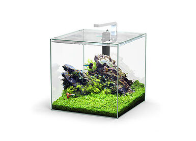 Aquatlantis - Aquarium Kubus 54L - Equipé