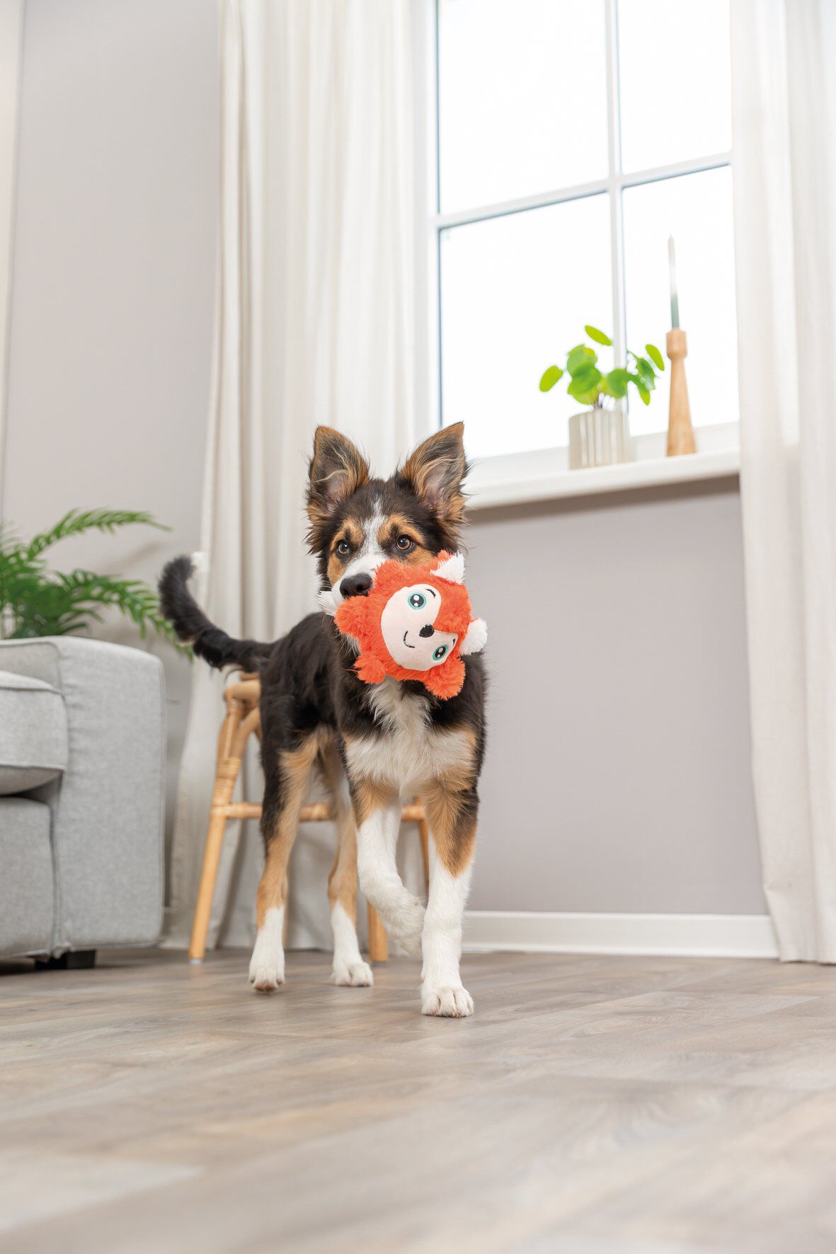 Trixie - RENARD ROND EN PELUCHE - 11 CM Image num&eacute;ro 2