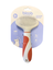 Bloob - Brosse Carde pour Chats - S Indicateur image num&eacute;ro 1