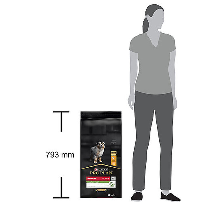 Pro Plan - Croquettes HEALTHY START Medium Poulet pour Chiot - 12Kg Image numéro 7 Pro Plan - Croquettes HEALTHY START Medium Poulet pour Chiot - 12Kg Image numéro 7