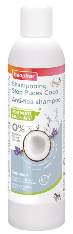 Beaphar - Shampoing Stop Puces Coco pour Chien et Chat - 250ml Image numéro 1 Beaphar - Shampoing Stop Puces Coco pour Chien et Chat - 250ml Image numéro 1