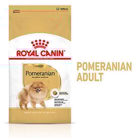Royal Canin - Croquettes Adult Spitz Nain Pour Chien