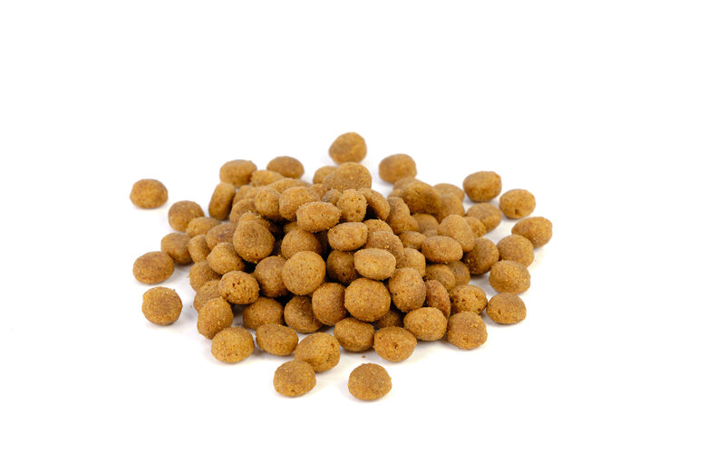 Solidary - Croquettes Dog 26 pour Chiens Adultes et Jeunes - 15Kg Image numéro 2 Solidary - Croquettes Dog 26 pour Chiens Adultes et Jeunes - 15Kg Image numéro 2