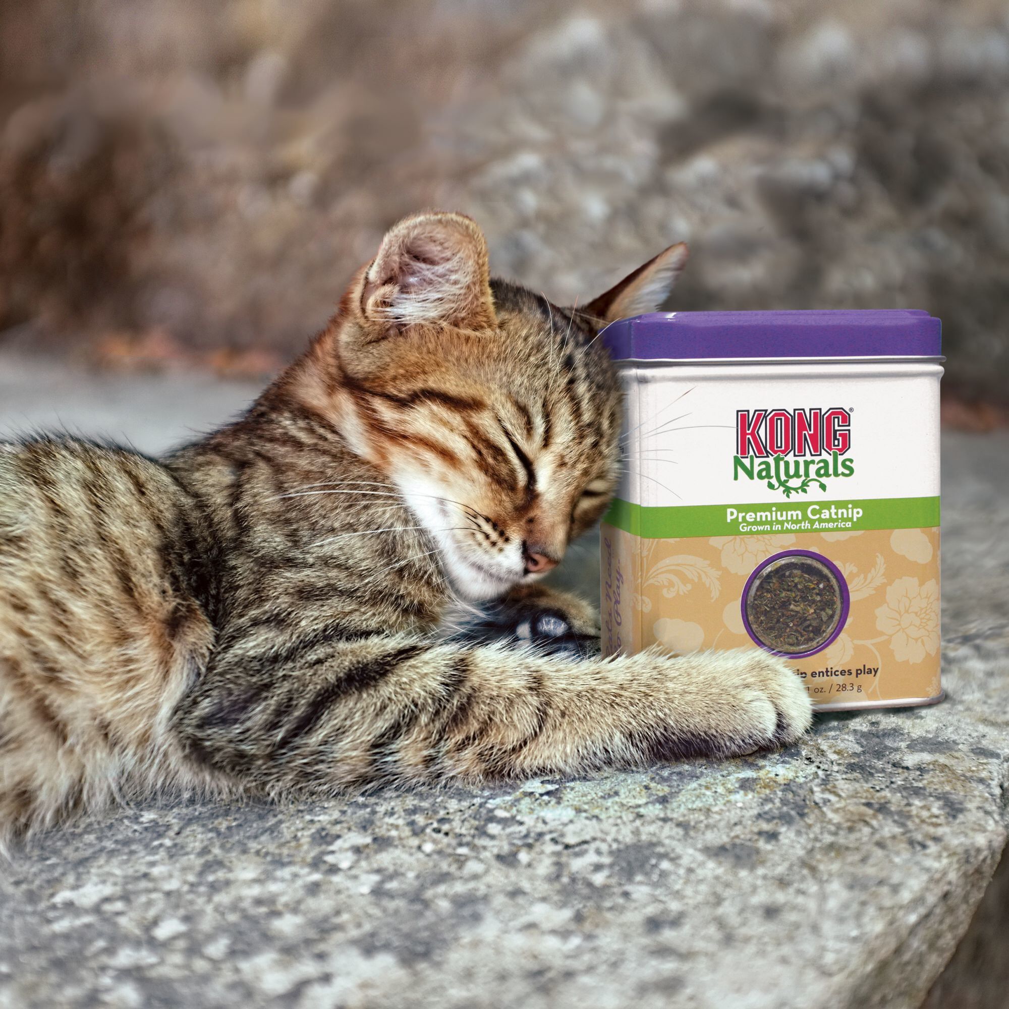 KONG - Herbe &agrave; Chat Naturals Premium Catnip - 56,7g Image num&eacute;ro 4