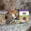 KONG - Herbe &agrave; Chat Naturals Premium Catnip - 56,7g Indicateur image num&eacute;ro 4