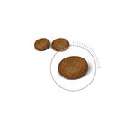 Royal Canin - Hair Skin Care 4kg image number null