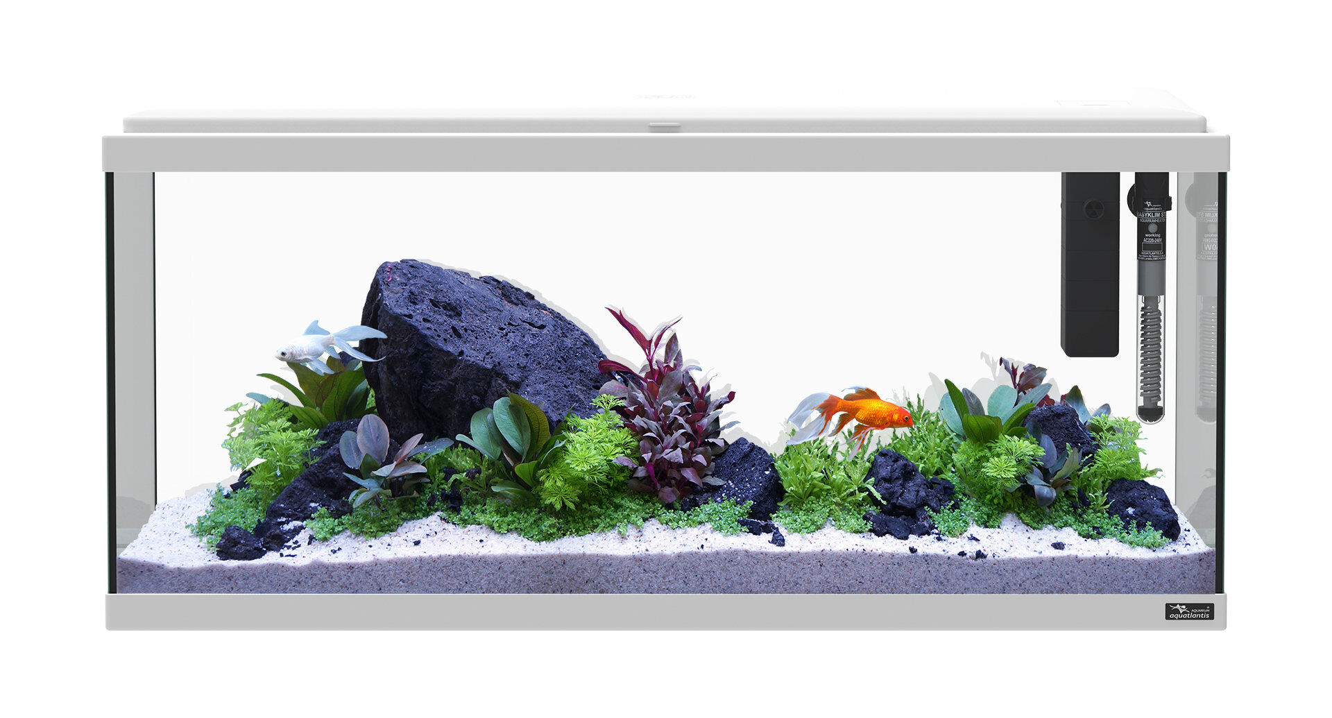 Aquatlantis - Aquarium Explorer Amsterdam 80 Equip&eacute; - Blanc Image num&eacute;ro 2