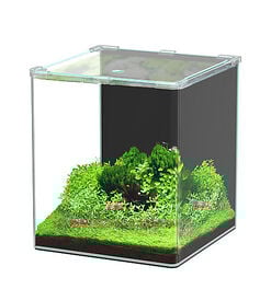 Aquatlantis - Aquarium Kubus Curve 30L Basic