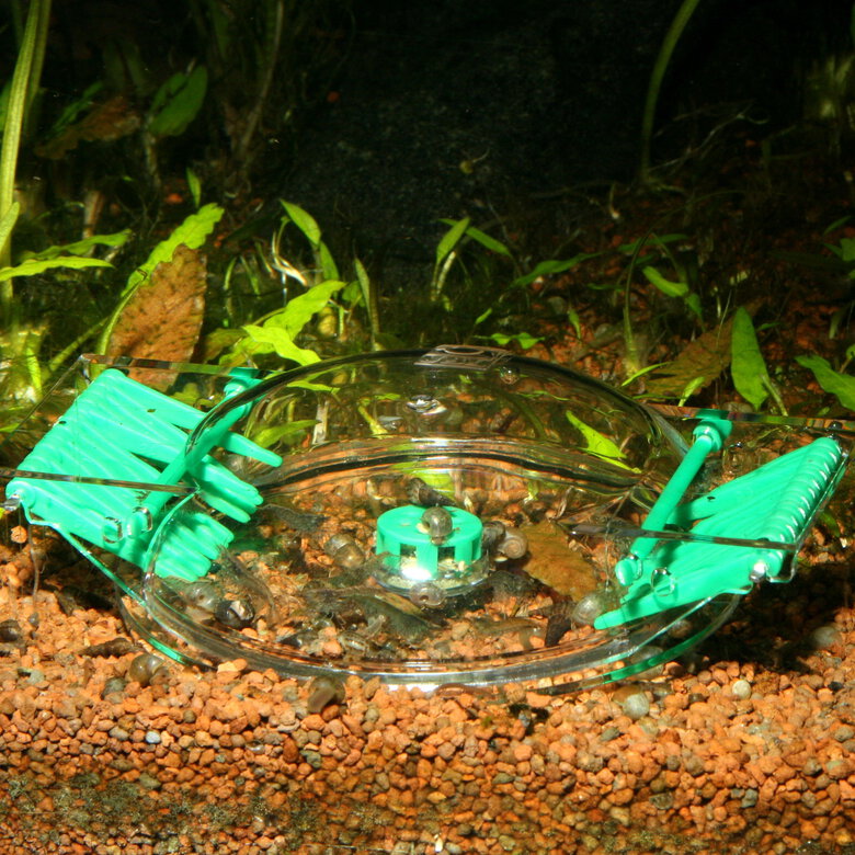 JBL - Piège à Escargots LimCollect II sans Produits Chimiques Image numéro 2 JBL - Piège à Escargots LimCollect II sans Produits Chimiques Image numéro 2