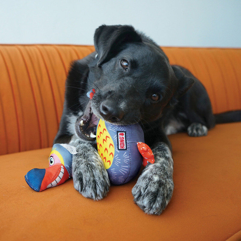 KONG - Jouet Oiseau Ballistic Vibez pour Chiens - M/L Image num&eacute;ro 5