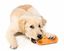FuzzYard - Jouet Peluche Plush Toy Burrito pour Chien Indicateur image numéro 2