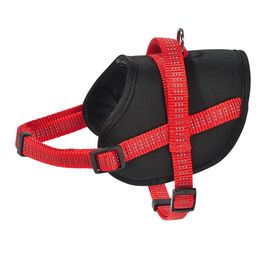 Bobby - Harnais Easy Safe Rouge pour Chiens - M