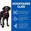 Hill's Science Plan - Perfect Weight & Active Mobility Croquettes Chien Adulte Grande Race Poulet -12kg Indicateur image numéro 3
