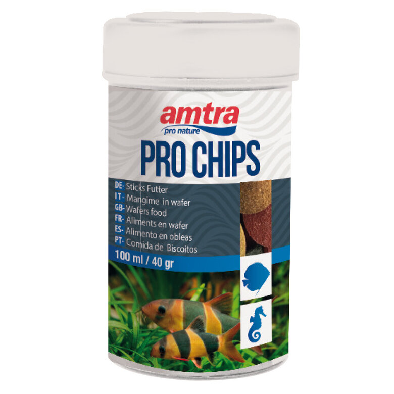 Amtra - Aliment Pro Chips - 100ml Image numéro 1 Amtra - Aliment Pro Chips - 100ml Image numéro 1