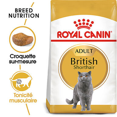 Royal Canin - Croquettes BRITISH SHORTHAIR ADULT Pour Chat