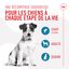 Royal Canin - Friandises Training Treats pour Chien - 110g Indicateur image numéro 5