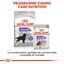 Royal Canin - Croquettes Maxi Sterilised pour Chien Adulte Stérilisé - 3Kg Indicateur image numéro 6