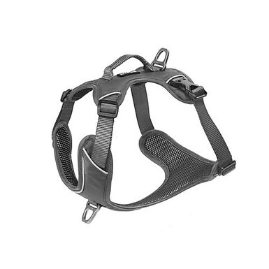 Kyflie - Harnais Momentum Gris pour Chien - XL